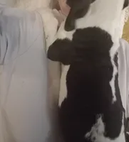 processed/b1202a4f-42b8-40f0-b621-ff4cdab3ccef/listing/7c37455b-3a28-4320-8be3-fdc8e4a14398/4c32a628-7cf9-4961-8bd5-1812ca701f75