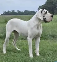 processed/b1202a4f-42b8-40f0-b621-ff4cdab3ccef/listing/7c37455b-3a28-4320-8be3-fdc8e4a14398/7f8ee3e4-7c66-455b-9bc8-e6f2d110f0af