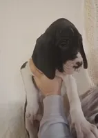 processed/b1202a4f-42b8-40f0-b621-ff4cdab3ccef/listing/7c37455b-3a28-4320-8be3-fdc8e4a14398/8c23613b-47ed-4b6e-9414-dbf86c6720ba