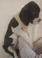 processed/b1202a4f-42b8-40f0-b621-ff4cdab3ccef/listing/7c37455b-3a28-4320-8be3-fdc8e4a14398/923d1777-adb6-4d5c-8fbb-90f2b7ae54ec