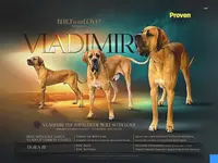 processed/b1202a4f-42b8-40f0-b621-ff4cdab3ccef/listing/7c37455b-3a28-4320-8be3-fdc8e4a14398/ec1cada4-29a0-485c-b278-4f97e3525783