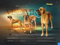 processed/b1202a4f-42b8-40f0-b621-ff4cdab3ccef/listing/c3d1eafd-520a-482d-abb1-b3de9cee44e0/43930db1-0411-464b-a61a-ad00402eb320