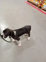 processed/b1202a4f-42b8-40f0-b621-ff4cdab3ccef/listing/c3d1eafd-520a-482d-abb1-b3de9cee44e0/9858df18-e7fd-4b05-9691-801ca91b4e32