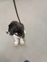 processed/b1202a4f-42b8-40f0-b621-ff4cdab3ccef/listing/c3d1eafd-520a-482d-abb1-b3de9cee44e0/a53ab69e-1610-4a9a-bc8a-52ef78a7eec9