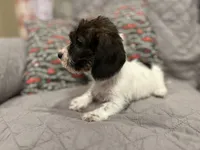 processed/b1320d6f-4f51-4204-b680-241585515714/listing/2c6e5e07-513a-49f0-8e27-235efcf8da3f/f654bfe9-5436-4d29-a361-98d19fd9bb4c