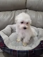 processed/b136b77c-bfae-4cd1-b3f0-cd789b454bbd/listing/87cb5bfe-1977-4b0e-b42d-0c3144d2a5d8/3266e7a2-2fed-40ea-8d56-6075694f3462