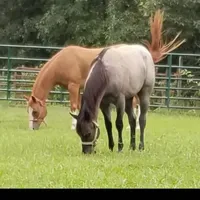 processed/b1382e65-5788-46f3-b592-da905d9c7211/facility/fc92453c-81b9-48e8-95ee-00245f71f03e