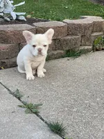 processed/b1397a6b-ca60-42f0-86a1-efb22646fb7d/listing/818e751b-845a-41af-9908-ff2e55bb1087/750911e0-b55a-49f4-8065-af753b67d996