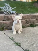 processed/b1397a6b-ca60-42f0-86a1-efb22646fb7d/listing/818e751b-845a-41af-9908-ff2e55bb1087/cf65ee35-de6c-4f44-94f6-115a96226b0f