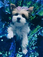 processed/b142fe14-4ef7-4522-9985-b6f47ba0f07c/facility/056ba8b8-d581-4a91-beea-80c597ff220e