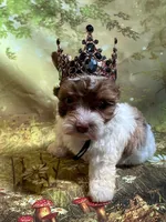 processed/b142fe14-4ef7-4522-9985-b6f47ba0f07c/facility/3fb2c3ef-4cc3-47c7-85ea-6ff4173b9018