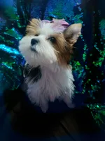 processed/b142fe14-4ef7-4522-9985-b6f47ba0f07c/facility/5a9564bb-53ff-4f1d-8a3b-a64f5236150e