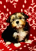 processed/b142fe14-4ef7-4522-9985-b6f47ba0f07c/facility/b518cd4e-f591-4bd3-ad49-82956ba20938