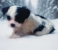 processed/b142fe14-4ef7-4522-9985-b6f47ba0f07c/listing/07766c22-a11d-41aa-b15e-db6789835dbd/567370c9-5ec9-426c-91a2-b4a0f26c4ba7