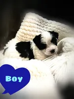 processed/b142fe14-4ef7-4522-9985-b6f47ba0f07c/listing/07766c22-a11d-41aa-b15e-db6789835dbd/57fb9e19-9476-403e-9a4d-de96f570f13c