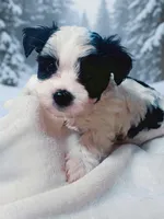 processed/b142fe14-4ef7-4522-9985-b6f47ba0f07c/listing/07766c22-a11d-41aa-b15e-db6789835dbd/d1f4664c-4ada-4ef6-8a3f-70371e85f754