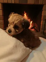 processed/b142fe14-4ef7-4522-9985-b6f47ba0f07c/listing/77771103-f431-40c5-9320-9bc77217ad3c/01e7c23e-0ab9-4c7d-8520-eebe3a91ba54