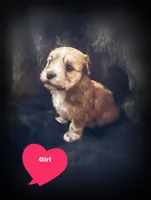 processed/b142fe14-4ef7-4522-9985-b6f47ba0f07c/listing/77771103-f431-40c5-9320-9bc77217ad3c/cdc6193a-a895-47ef-adf4-9dbe312ae448