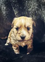 processed/b142fe14-4ef7-4522-9985-b6f47ba0f07c/listing/77771103-f431-40c5-9320-9bc77217ad3c/e40d056e-c0b2-4d5c-86b0-dc20356a011c