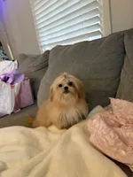 processed/b1451d95-0012-457f-b58f-02d40063b06e/listing/f2c72a1a-afbd-4d30-8a5c-f4235a09b420/41db6a4c-fe99-4503-bfe8-5280b6b3c432