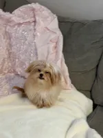 processed/b1451d95-0012-457f-b58f-02d40063b06e/listing/f2c72a1a-afbd-4d30-8a5c-f4235a09b420/57bf0f79-8f43-46c4-a958-378ad2747866