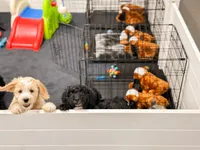 Facility photo