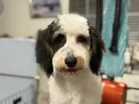 processed/b14df80e-6e86-4cba-ac59-4e486025d939/listing/07bd705e-d71a-4984-8b16-949a9b88bbaf/0adc79e2-9187-41ce-9b04-7e0e9abe0cad