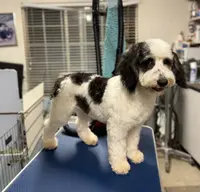 processed/b14df80e-6e86-4cba-ac59-4e486025d939/listing/07bd705e-d71a-4984-8b16-949a9b88bbaf/27231e4d-507f-477d-9eac-c1f2c6d37388