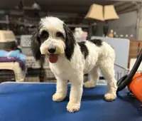 processed/b14df80e-6e86-4cba-ac59-4e486025d939/listing/07bd705e-d71a-4984-8b16-949a9b88bbaf/2f3c02f0-bb9e-4fd7-9889-75a077248e20