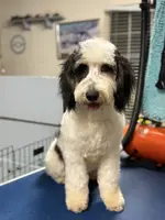 processed/b14df80e-6e86-4cba-ac59-4e486025d939/listing/07bd705e-d71a-4984-8b16-949a9b88bbaf/8b2c7359-957c-4c34-b647-ef0479ef7b09