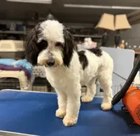 processed/b14df80e-6e86-4cba-ac59-4e486025d939/listing/07bd705e-d71a-4984-8b16-949a9b88bbaf/8e07a0fb-795a-469a-b951-f10b2e0be3f7