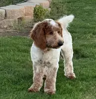 processed/b14df80e-6e86-4cba-ac59-4e486025d939/listing/134774cf-4576-41b4-9961-3e2812fbd61e/2bf97c16-419c-4d12-8949-d2609d5ce108