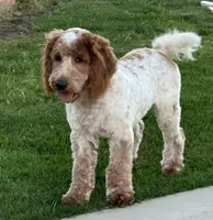 processed/b14df80e-6e86-4cba-ac59-4e486025d939/listing/134774cf-4576-41b4-9961-3e2812fbd61e/61575a38-d1e8-4de8-981a-7e15a34a6d37