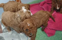 processed/b14df80e-6e86-4cba-ac59-4e486025d939/listing/18a59e87-f4a3-4b5a-aad0-0d70ecfa5ebd/c091535a-217a-4769-9cc2-939094040774