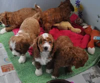 processed/b14df80e-6e86-4cba-ac59-4e486025d939/listing/5a48639e-d584-4fed-ba08-9d8ea67054e7/2897b90f-3e5a-4298-b491-1ccaab78c070