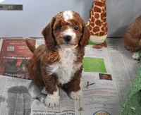 processed/b14df80e-6e86-4cba-ac59-4e486025d939/listing/5a48639e-d584-4fed-ba08-9d8ea67054e7/6c544335-d7fc-4fe0-b523-2d650a5450c0