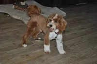 processed/b14df80e-6e86-4cba-ac59-4e486025d939/listing/ab6a2963-9ec8-44bc-9df0-b116b28559d3/71fdbd1f-07a8-4053-a723-a9ec0dcc58dd