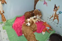 processed/b14df80e-6e86-4cba-ac59-4e486025d939/listing/ab6a2963-9ec8-44bc-9df0-b116b28559d3/ab880e8c-1a8e-4881-84f0-c92f6cc34394