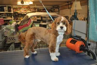 processed/b14df80e-6e86-4cba-ac59-4e486025d939/listing/ab6a2963-9ec8-44bc-9df0-b116b28559d3/ac9bf4ad-3863-40e7-adb6-0ec7c4e75124