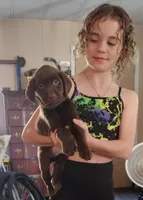 Reese's AKC, a male Labrador Retriever for sale in Wesley Chapel, FL – Photo 2 of 5