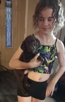 Kisses AKC, a female Labrador Retriever for sale in Wesley Chapel, FL – Photo 2 of 6