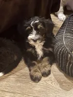 processed/b16fa00e-a06b-4175-a0ee-f6007660dad0/listing/669eefce-ae02-4b8e-90c4-93642af609dc/949c34b7-5111-4c53-998c-445055c52a24