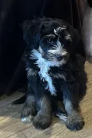 processed/b16fa00e-a06b-4175-a0ee-f6007660dad0/listing/669eefce-ae02-4b8e-90c4-93642af609dc/ef6b7b63-eba5-4598-af35-98c01ecb90ea