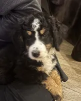 processed/b16fa00e-a06b-4175-a0ee-f6007660dad0/listing/8b7f4d92-14da-48da-a075-ff64845d9a28/953d515e-91ea-435d-9dfb-ac6f8b5cb1b1