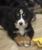 processed/b16fa00e-a06b-4175-a0ee-f6007660dad0/listing/8b7f4d92-14da-48da-a075-ff64845d9a28/b8378131-096a-40c2-82e2-9d837931ae14