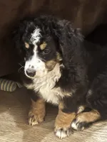 processed/b16fa00e-a06b-4175-a0ee-f6007660dad0/listing/8b7f4d92-14da-48da-a075-ff64845d9a28/c7bfe704-14f2-4359-b981-cf08cbe5f29d