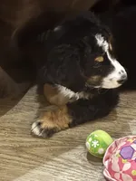 processed/b16fa00e-a06b-4175-a0ee-f6007660dad0/listing/8b7f4d92-14da-48da-a075-ff64845d9a28/ebb257bc-4616-485b-b864-b1a7104cad81