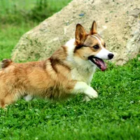 processed/b16fbb1b-ebee-4253-ae00-c5965cd92630/facility/393f6ede-71f5-4900-80cc-2184bc4de8c9