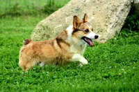 processed/b16fbb1b-ebee-4253-ae00-c5965cd92630/facility/393f6ede-71f5-4900-80cc-2184bc4de8c9