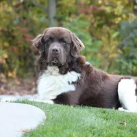 processed/b16fbb1b-ebee-4253-ae00-c5965cd92630/facility/3f1423bd-3b3e-400f-8543-d066c9adf080